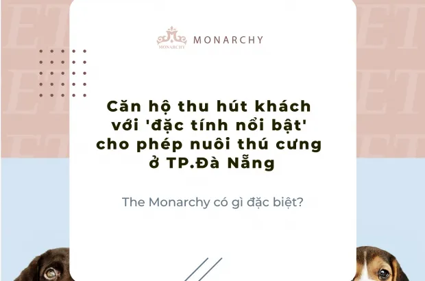 Căn hộ thu hút khách với 'đặc tính nổi bật' cho phép nuôi thú cưng ở TP.Đà Nẵng