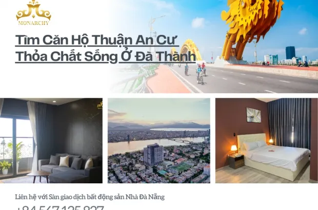 tim-can-ho-thuan-an-cu-thoa-chat-song-o-da-thanh