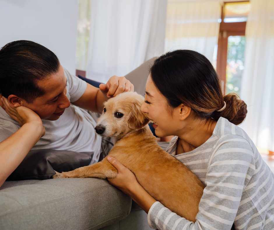 pet-friendly-apartment-at-monarchy-da-nang-perfect-for-you-and-your-pets-2