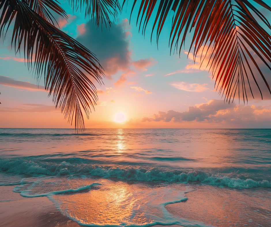 where-should-you-rent-an-apartment-near-the-beach-in-da-nang-that-s-actually-worth-it-2026-guide-1