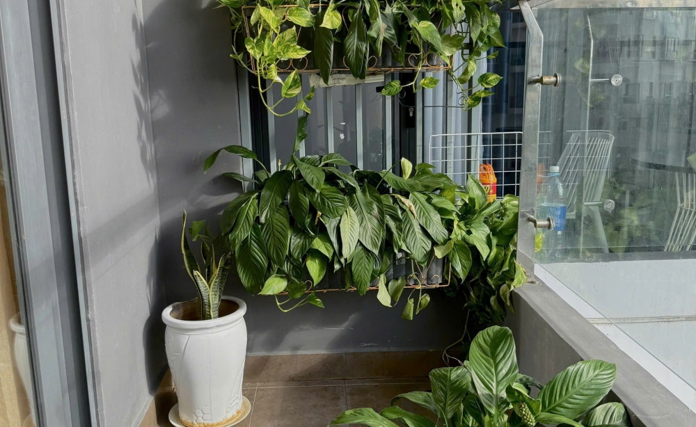 rent-monarchy-2br-apartment-on-6th-floor-with-peaceful-inner-view-18-million-vnd